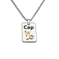 Stainless Steel Jewelry Necklace 304 Stainless Steel Rectangle Vacuum Plating Zodiac symbols jewelry & Unisex Length Approx 50 cm Sold By PC