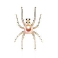 Broche zircon, laiton, avec perle de plastique, araignée, bijoux de mode & pavé de micro zircon & pour femme, 36x44mm, Vendu par PC