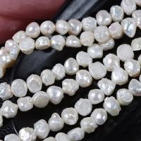 Perle perline Keishi coltivate d'acqua dolce, perla d'acquadolce coltivata naturalmente, Irregolare, DIY, bianco, 9-10mm, Foro:Appross. 0.7mm, Lunghezza 39 cm, Venduto da PC