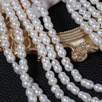 Perles nacres baroques de culture d'eau douce , perle d'eau douce cultivée, calebasse, DIY, blanc, 12-14mmu30017-8mm, Trou:Environ 0.7mm, Longueur 39-40 cm, Vendu par PC