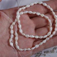 Cultured Baroque Freshwater Pearl Beads, irregular, DIY, white, 3.50mm, Hole:Approx 0.7mm, Length:35 cm, Sold By PC
