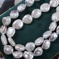 Cultured Baroque Freshwater Pearl Beads, DIY, more colors for choice, 18-19mm, Length:39 cm, Sold By PC