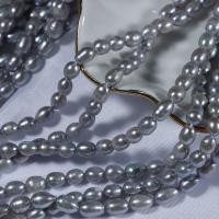 Perles d'eau douce de culture de riz, perle d'eau douce cultivée, DIY, gris, 6mm, Trou:Environ 0.7mm, Longueur:38-39 cm, Vendu par PC