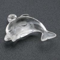 Acrylic Pendants, Dolphin, DIY, clear, 27x23x9mm, Hole:Approx 2mm, Sold By Bag