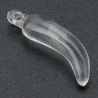 Acrylic Pendants, Pepper, DIY, clear, 10x26x6.50mm, Hole:Approx 1mm, Sold By Bag