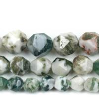 Tree Agate Beads DIY & faceted green Sold By Strand