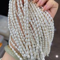Barock kultivierten Süßwassersee Perlen, Natürliche kultivierte Süßwasserperlen, DIY, weiß, 4-5mm, verkauft per ca. 15 ZollInch Strang