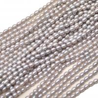 Cultured Rice Freshwater Pearl Beads DIY grey 6mm Length 36-38 cm Sold By PC
