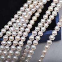 Naturel d'eau douce perles, perle d'eau douce cultivée, Rond, DIY, blanc, 6mm, Longueur 40 cm, Vendu par PC