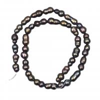 Barock kultivierten Süßwassersee Perlen, Natürliche kultivierte Süßwasserperlen, Kalebasse, DIY, schwarz, 6-8mm, Länge 36-38 cm, verkauft von PC