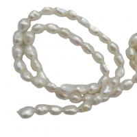 Barock odlad sötvattenspärla pärlor, Freshwater Pearl, DIY, vit, 5-6mm, Längd 36-38 cm, Säljs av PC