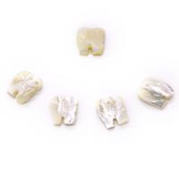 Pingentes de concha, esculpidas, unissex, branco, 15x17mm, vendido por PC