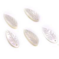 Shell Pendants Natural Seashell Leaf Carved Unisex white Sold By PC