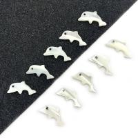 Natural Seashell Beads Dolphin DIY white Sold By PC