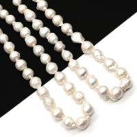 Barok ferskvandskulturperle Beads, Ferskvandsperle, du kan DIY, hvid, 11x14-13x16mm, Solgt Per Ca. 38-40 cm Strand