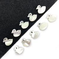 Natural Seashell Beads, Duck, DIY, white, 8x10mm, Approx 20PCs/Bag, Sold By Bag