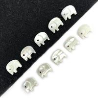 Natural Seashell Beads, Elephant, DIY, white, 9x11mm, Approx 20PCs/Bag, Sold By Bag