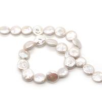 Knap ferskvandskulturperle Beads, Ferskvandsperle, Flad Rund, du kan DIY, hvid, 16-17mm, Solgt Per Ca. 38 cm Strand