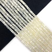 Perles naturelles de coquillages de mer , coquillage, Plat rond, DIY & normes différentes pour le choix, blanc, Vendu par Environ 38 cm brin