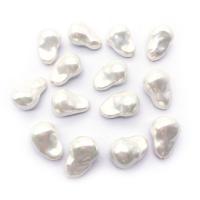 Natural Freshwater Shell Beads DIY white Sold By PC