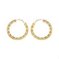 Titanium Steel  Earring, 18K gold plated, fashion jewelry & different size for choice & for woman, golden, Sold By Pair