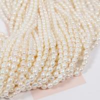 Cultured Rice Freshwater Pearl Beads, DIY, white, 5.5mm, Sold Per Approx 15 Inch Strand