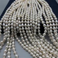 Perles nacres baroques de culture d'eau douce , perle d'eau douce cultivée, larme, DIY, blanc, 6-7mm, Vendu par Environ 15 pouce brin