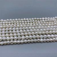 Perlas Arroz Freshwater, Perlas cultivadas de agua dulce, Bricolaje, Blanco, 5-5.5mm, Vendido para aproximado 15 Inch Sarta