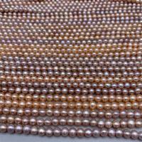 Cultured Rice Freshwater Pearl Beads, DIY, multi-colored, 4.5-5.5mm, Sold Per Approx 15 Inch Strand
