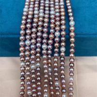 Perlas Redondas Freshwater, Perlas cultivadas de agua dulce, Esférico, Bricolaje, multicolor, 5mm, Vendido para aproximado 15 Inch Sarta