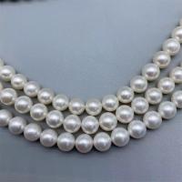 Runde ferskvandskulturperle Beads, Ferskvandsperle, du kan DIY, hvid, 8-9mm, Solgt Per Ca. 15 inch Strand