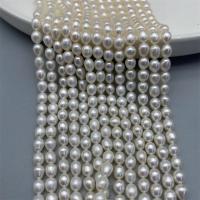 Perlas Arroz Freshwater, Perlas cultivadas de agua dulce, Bricolaje, Blanco, 5-6mm, Vendido para aproximado 15 Inch Sarta