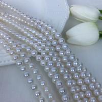 Runde ferskvandskulturperle Beads, Ferskvandsperle, du kan DIY, hvid, 7.5-8.5mm, Solgt Per Ca. 15 inch Strand