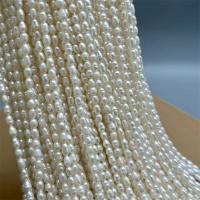Rice ferskvandskulturperle Beads, Ferskvandsperle, Ris, du kan DIY, hvid, 3-4mm, Solgt Per Ca. 15 inch Strand