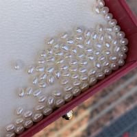 Rice Kulturan Slatkovodni Pearl perle, možete DIY, bijel, 3.5-4mm, Prodano By PC