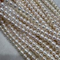 Perles de nacre rondes de culture d'eau douce, perle d'eau douce cultivée, DIY, plus de couleurs à choisir, 7-8mm, Vendu par Environ 15 pouce brin