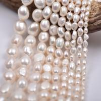 Barock odlad sötvattenspärla pärlor, Freshwater Pearl, DIY & olika storlek för val, vit, Såld Per Ca 36-38 cm Strand