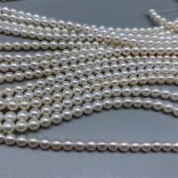 Runde ferskvandskulturperle Beads, Ferskvandsperle, du kan DIY, hvid, 5.5-6mm, Solgt Per Ca. 15 inch Strand
