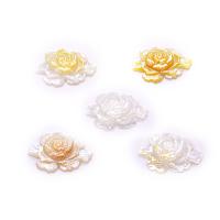Shell Connector, Natural Seashell, Flower, Carved, DIY & 1/1 loop, more colors for choice, 23x33mm, Sold By PC