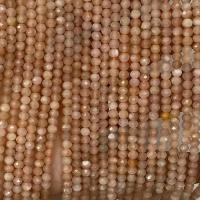 Agate Beads Sun Agate Round natural & faceted orange Sold Per Approx 14.96 Inch Strand