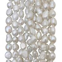 Barocco coltivate in acqua dolce Perla, perla d'acquadolce coltivata naturalmente, DIY, nessuno, 7-8mm, Venduto per Appross. 15 pollice filo