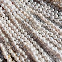 Barock odlad sötvattenspärla pärlor, Freshwater Pearl, DIY & olika storlek för val, vit, Såld Per Ca 15 inch Strand
