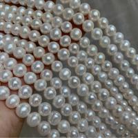 Naturales agua dulce perlas sueltas, Perlas cultivadas de agua dulce, Bricolaje, Blanco, 7.5-8.4mm, Vendido para aproximado 15 Inch Sarta