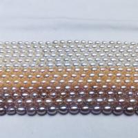 Perles d'eau douce de culture de riz, perle d'eau douce cultivée, DIY, plus de couleurs à choisir, 7-8mm, Vendu par Environ 39 cm brin