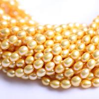Perlas Arroz Freshwater, Perlas cultivadas de agua dulce, Bricolaje, dorado, 7-8mm, Vendido para aproximado 39 cm Sarta