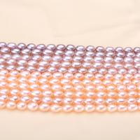 Perlas Arroz Freshwater, Perlas cultivadas de agua dulce, Bricolaje, más colores para la opción, 7-8mm, Vendido para aproximado 39 cm Sarta