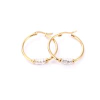Stainless Steel Lever Back Earring 304 Stainless Steel Unisex & micro pave cubic zirconia golden Sold By Pair