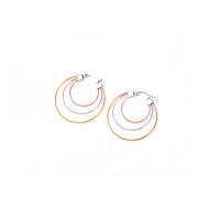 Stainless Steel Lever Back Earring, 304 Stainless Steel, plated, different size for choice & for woman, Sold By Pair