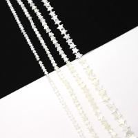 Natural Sea Shell Beads, conchiglia marina, Stella, Inciso, DIY & formato differente per scelta, bianco, Venduto per Appross. 38 cm filo