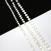 Weiße Lippenschale Perlen, Kreuz, geschnitzt, DIY & verschiedene Größen vorhanden, weiß, verkauft per ca. 38 cm Strang